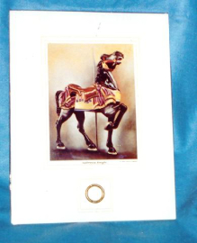 Seabreeze Knight with Brass Ring