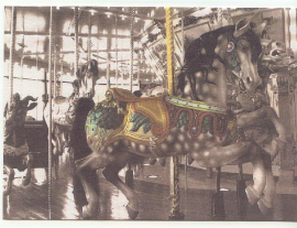 Spillman Dapple Horse Note Card