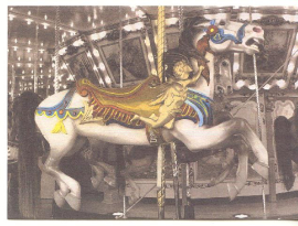 Spillman White Horse Note Card